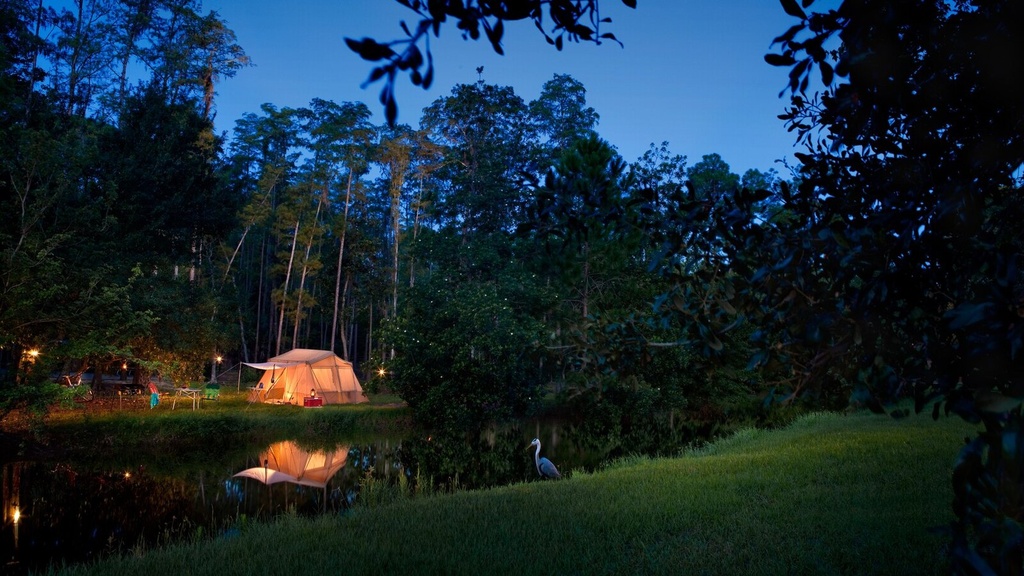 The Campsites at Disney's Fort Wilderness Resort
